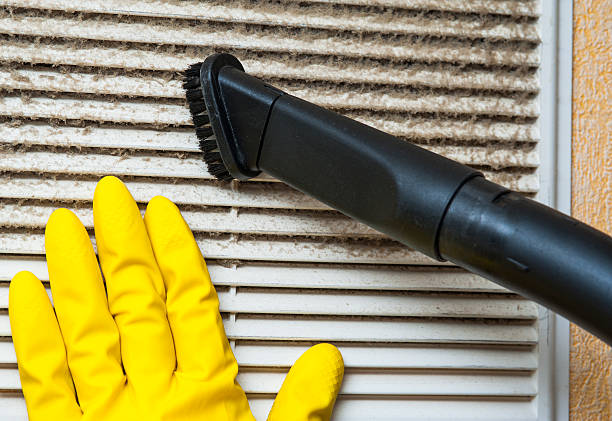 Air Duct Mold Removal in La Marque, TX