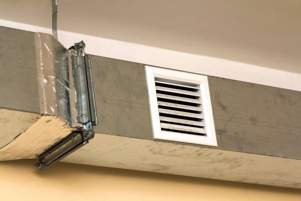 Best Professional Duct Cleaning Services  in La Marque, TX